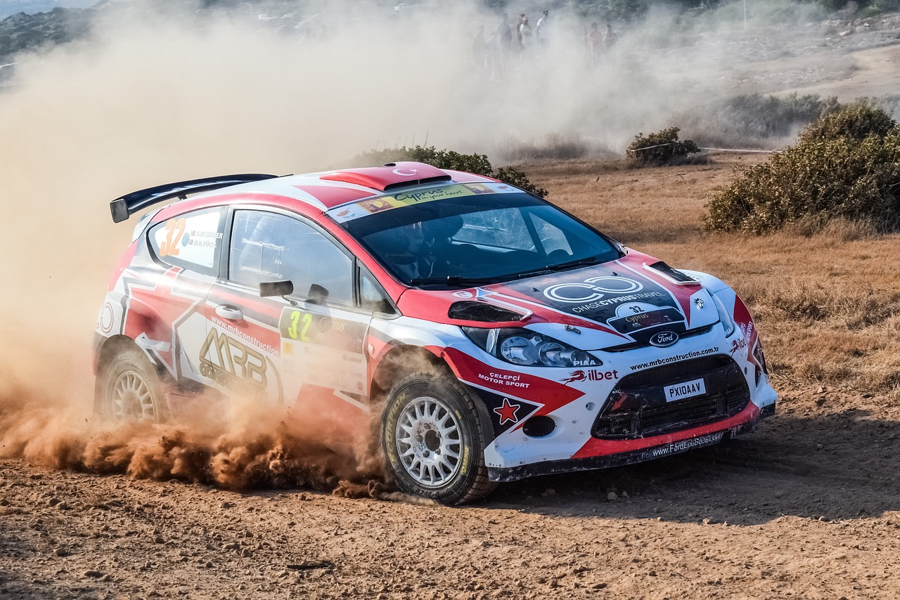 Rally yarışları